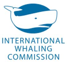 greenpeace santuario iwc 1994|International Whaling Commission .